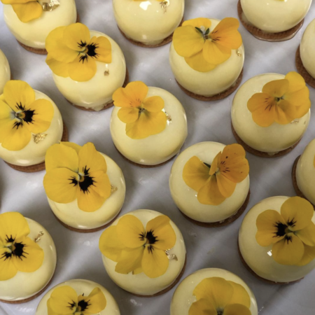 Entremet Citron Bio