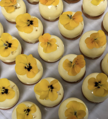 Entremet Citron Bio